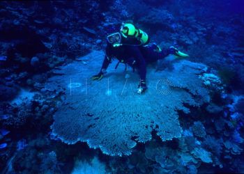 mar-celebes-indonesia-filipinas
