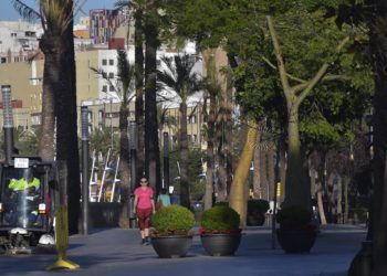 paseo-palmeras