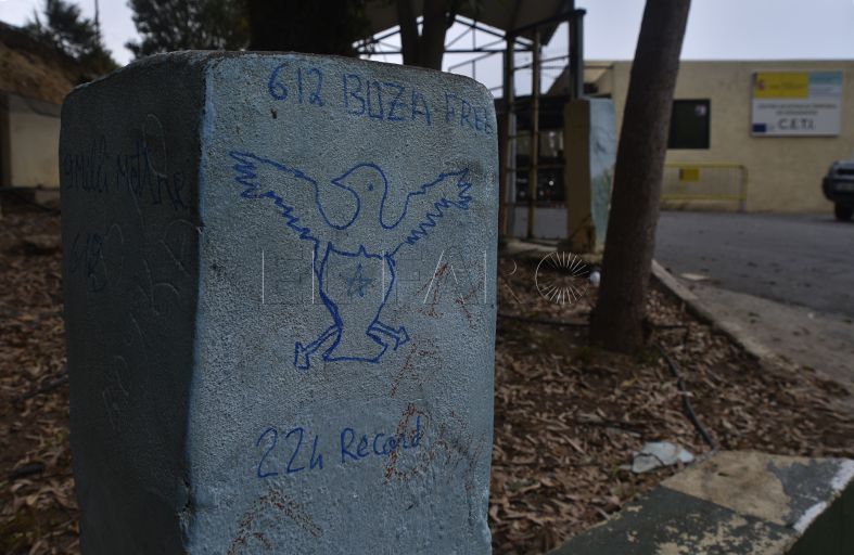 pintada-boza-ceti