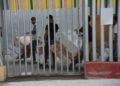 reabre-tarajal-ii-frontera-porteo-5