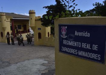 zapadores-minadores