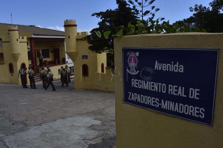 zapadores-minadores