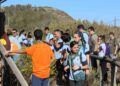 aves-arroyo-calamocarro