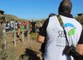 aves-arroyo-calamocarro