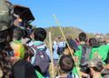 aves-arroyo-calamocarro