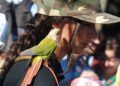 aves-arroyo-calamocarro