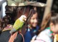 aves-arroyo-calamocarro