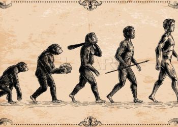 benedicto-evolucion
