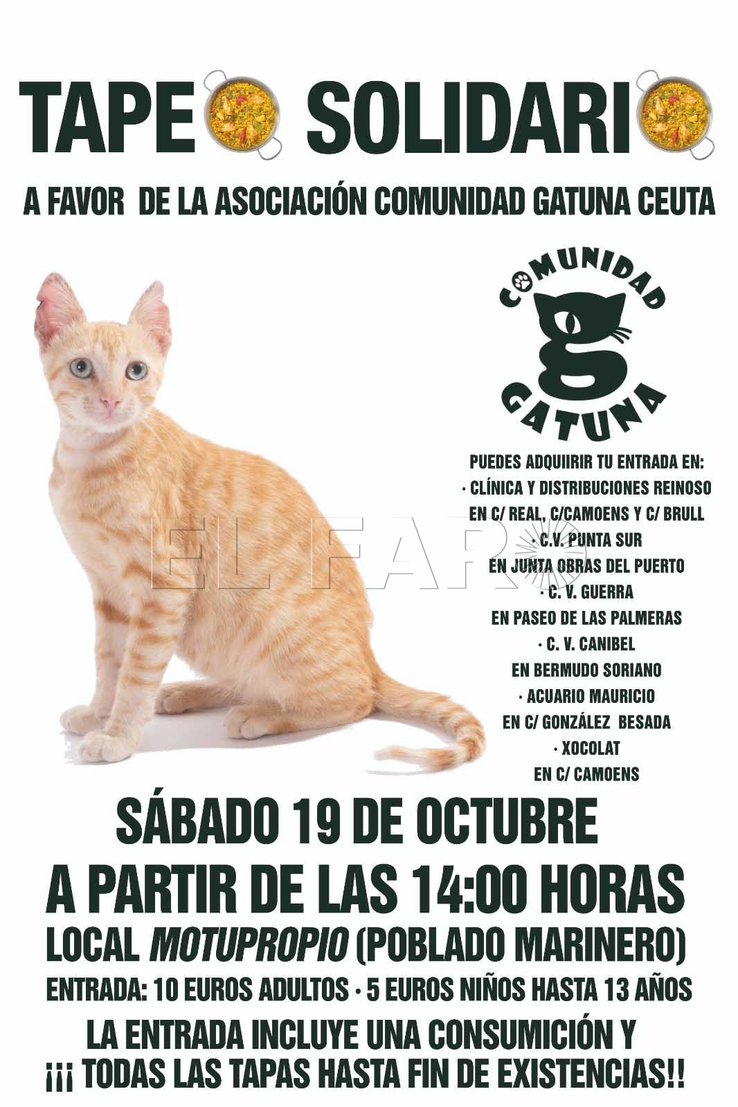 cartel-tapeo-felino