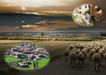 mundo-rural