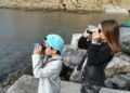 pardela-cenicienta-desnarigado-seo-birdlife-9