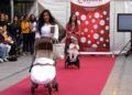 pasarela-niños-comercio
