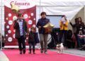 pasarela-niños-comercio