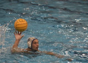 waterpolo