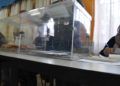 OK-jornada-electoral-extrarradio-10n-6