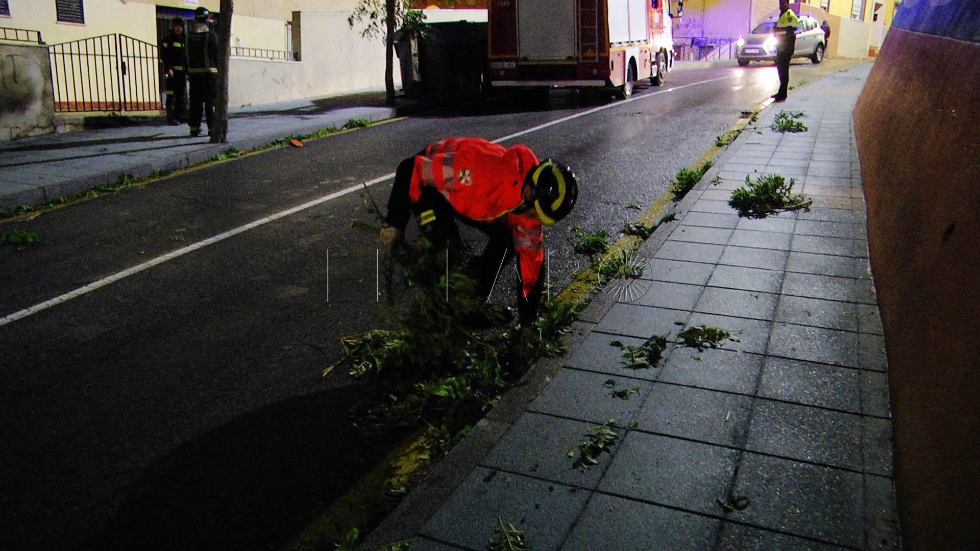 actuacion-arbol-bomberos-2