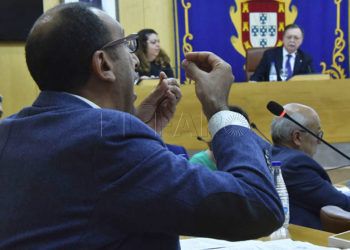 caballas-pleno-noviembre-obesidad