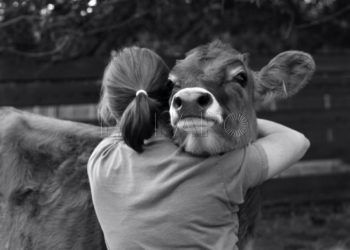 compasion-animal