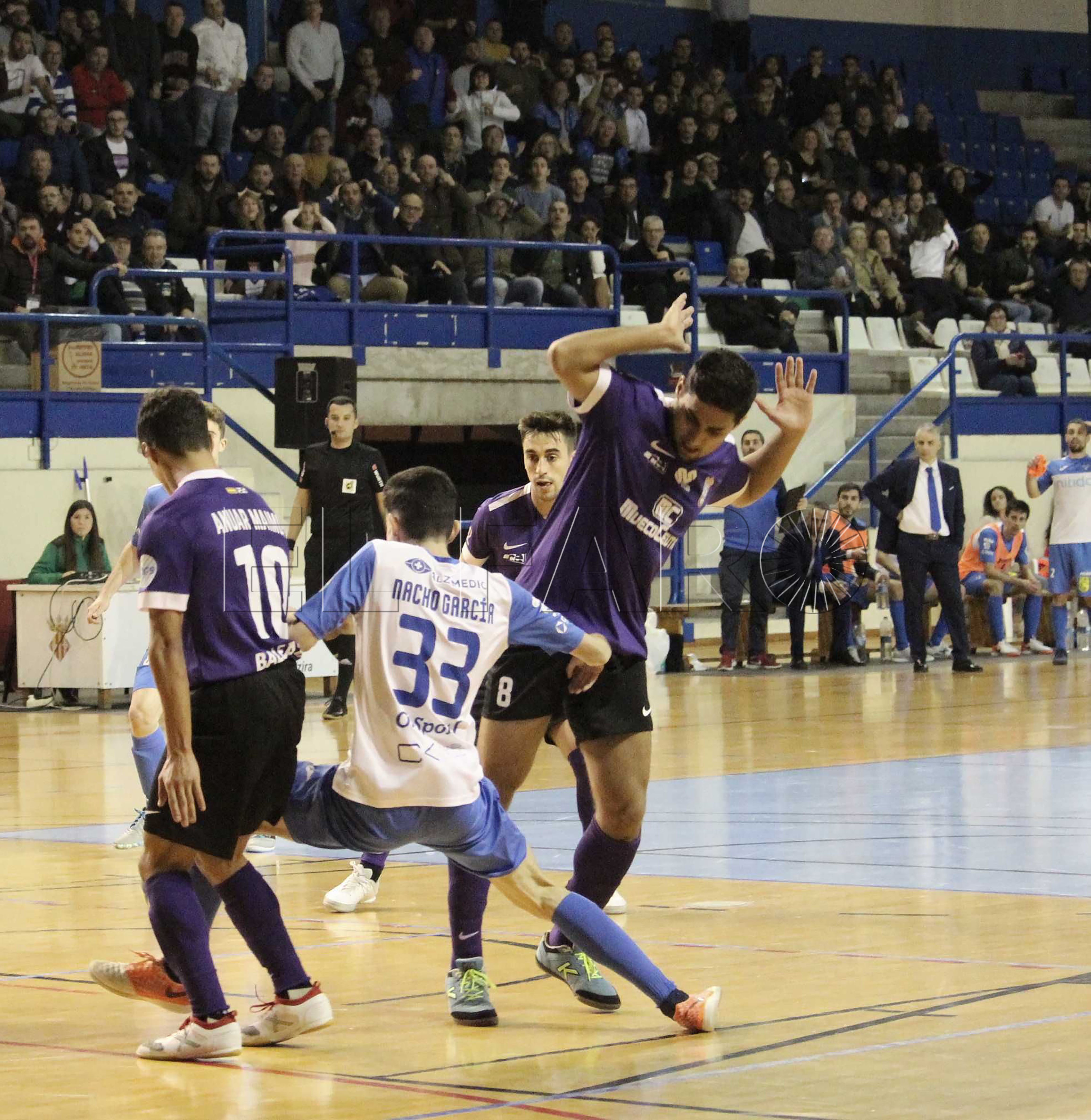 nitida-alzira-lnfs
