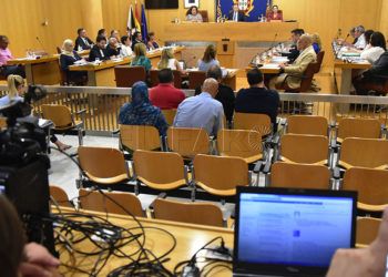 pleno-asamblea