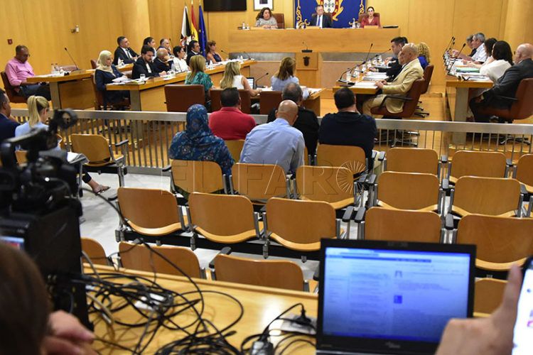 pleno-asamblea