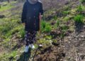 reforestacion-medio-ambiente-centro-cultural-imam-warsh-3