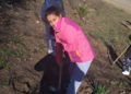 reforestacion-medio-ambiente-centro-cultural-imam-warsh-4