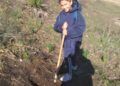 reforestacion-medio-ambiente-centro-cultural-imam-warsh-6