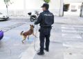 seguridad-elecciones-10n-3