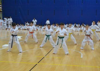 taekwondo-torneo