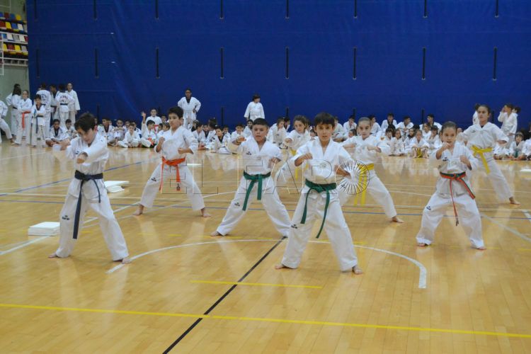 taekwondo-torneo