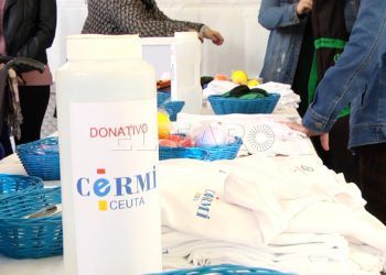 CERMI-13