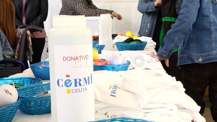 CERMI-13
