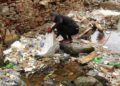ceuta-sin-plastico-recogida-playa-santa-catalina-1