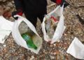 ceuta-sin-plastico-recogida-playa-santa-catalina-6