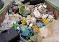 ceuta-sin-plastico-recogida-playa-santa-catalina-9