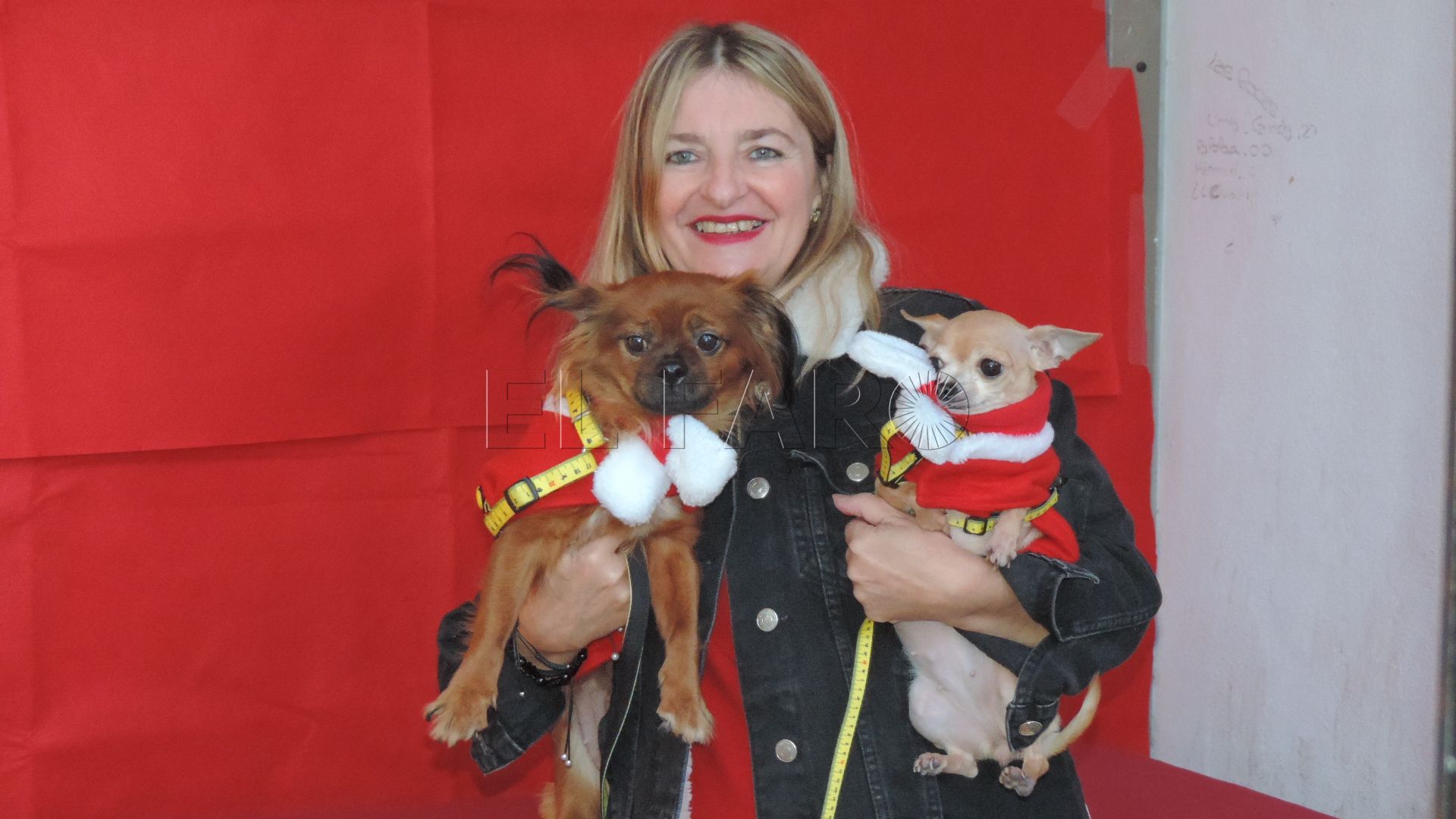 photocall-mascotas-camara-1