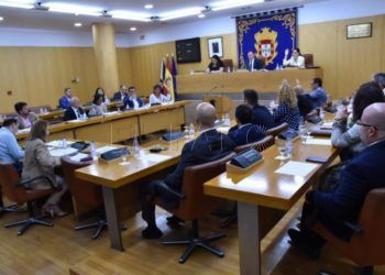 pleno-asesores-56-768x512