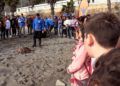 tortuga-cecam-11