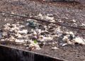 basura-playa-tarajal-17