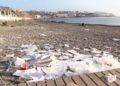 basura-playa-tarajal-7