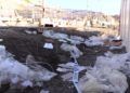 basura-playa-tarajal-9