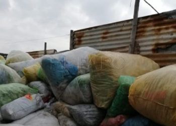bolsas-plastico