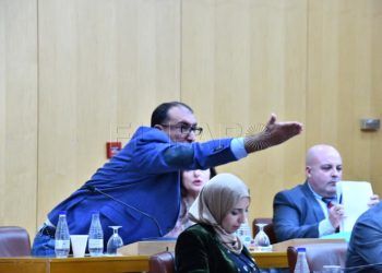 bronca-caballas-pp-ali-rontome-pleno-1