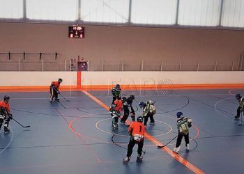 bulldogs-ceuta