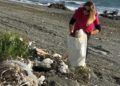 ceuta-sin-plastico-playa-tarajal-8