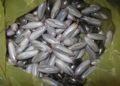 detenciones-guardia-civil-droga-resina-hachis-5