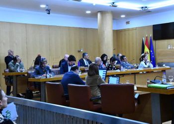 gobierno-pleno