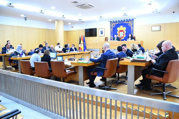 pleno-150120