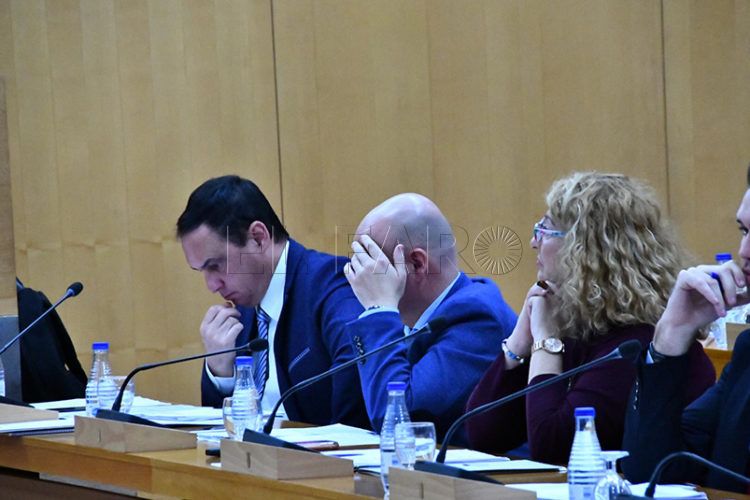 psoe-pleno